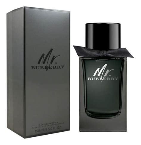 mr burberry prezzo amazzon|Mr. Burberry Eau de Parfum Burberry for men .